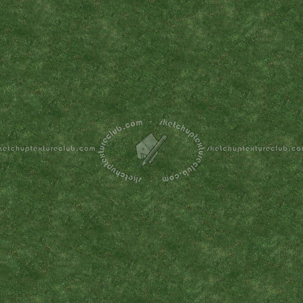Textures   -   NATURE ELEMENTS   -   VEGETATION   -   Green grass  - Green grass texture seamless 12997 (seamless)