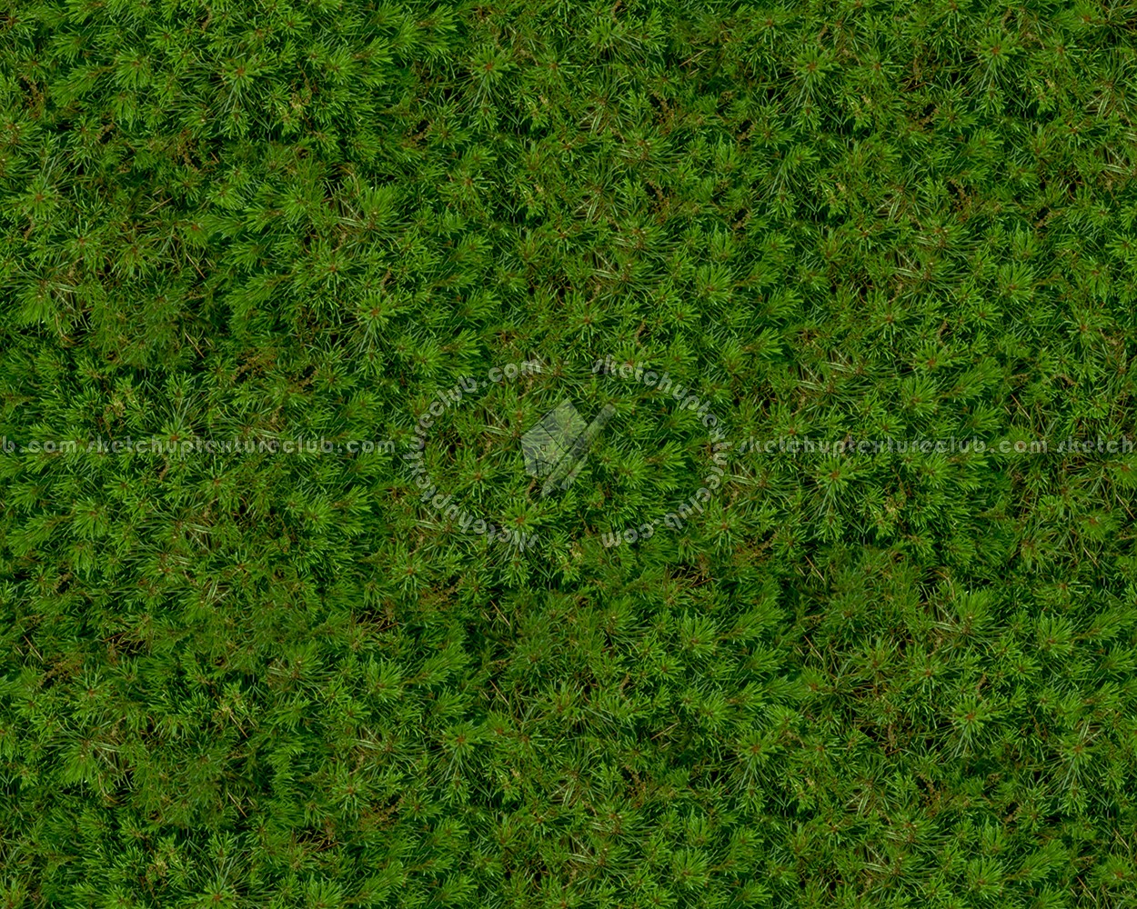 Textures   -   NATURE ELEMENTS   -   VEGETATION   -   Green grass  - Green grass texture seamless 12999 (seamless)
