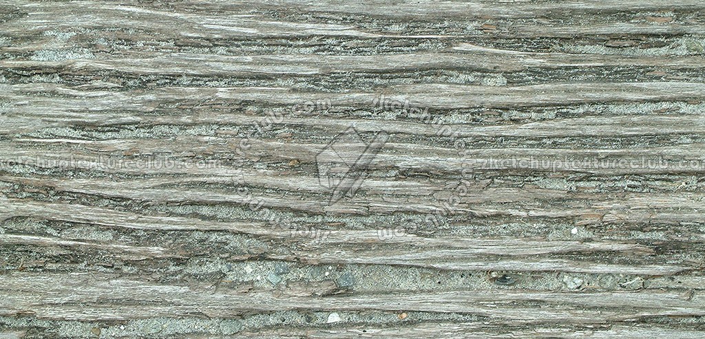 Textures   -   NATURE ELEMENTS   -   BARK  - Bark texture seamless 12341 (seamless)