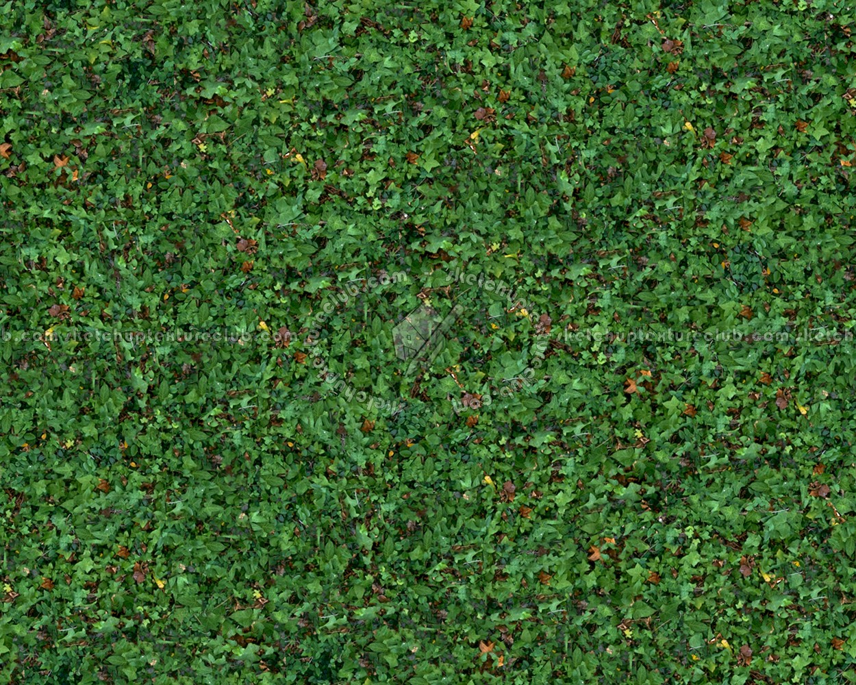 Textures   -   NATURE ELEMENTS   -   VEGETATION   -   Green grass  - Green grass texture seamless 13000 (seamless)