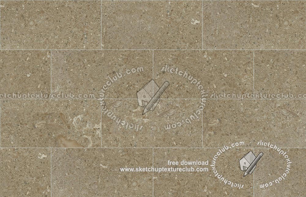 Textures   -   ARCHITECTURE   -   TILES INTERIOR   -   Marble tiles   -   Green  - Fossil green marble floor tile texture seamless 19142 (seamless)