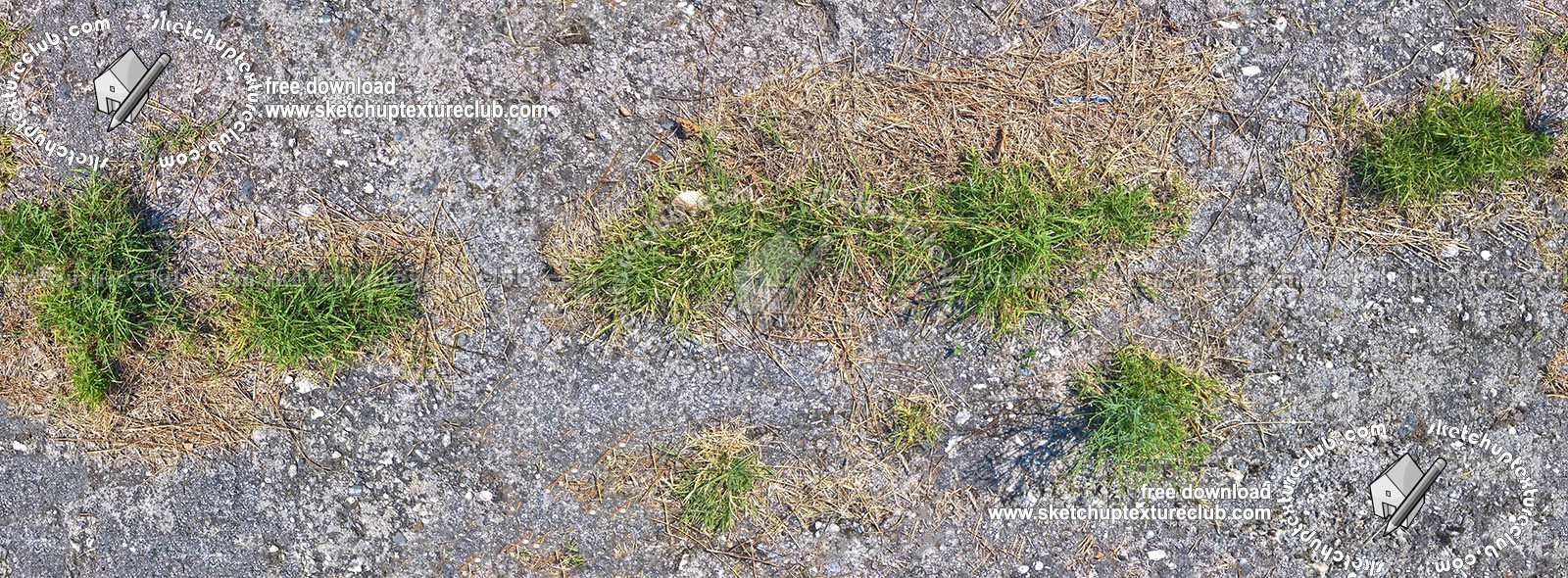 Textures   -   ARCHITECTURE   -   ROADS   -   Asphalt damaged  - Damaged asphalt with grass texture seamless 18733 (seamless)