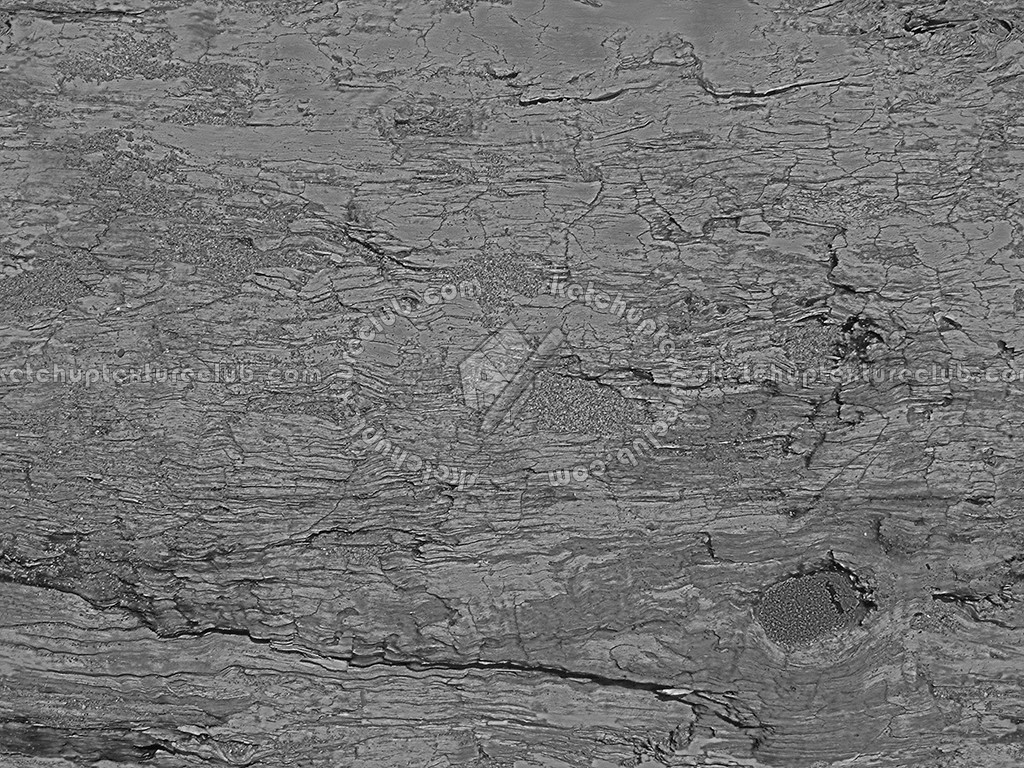 Textures   -   NATURE ELEMENTS   -   BARK  - Bark texture seamless 12345 - Bump