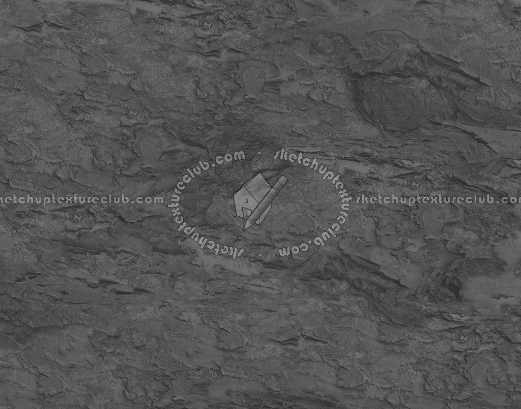 Textures   -   NATURE ELEMENTS   -   BARK  - Bark texture seamless 12346 - Bump