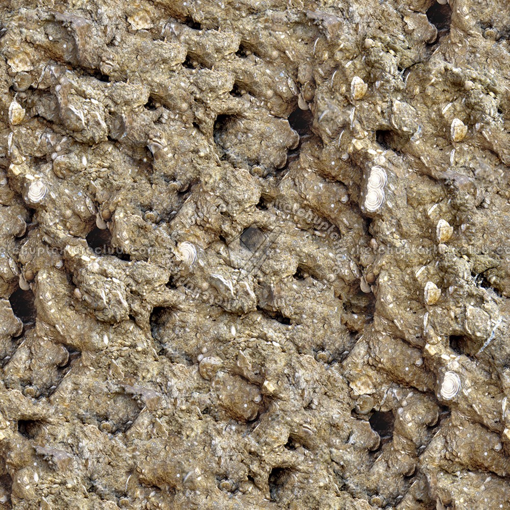 Textures   -   NATURE ELEMENTS   -   ROCKS  - Rock stone texture seamless 12659 (seamless)