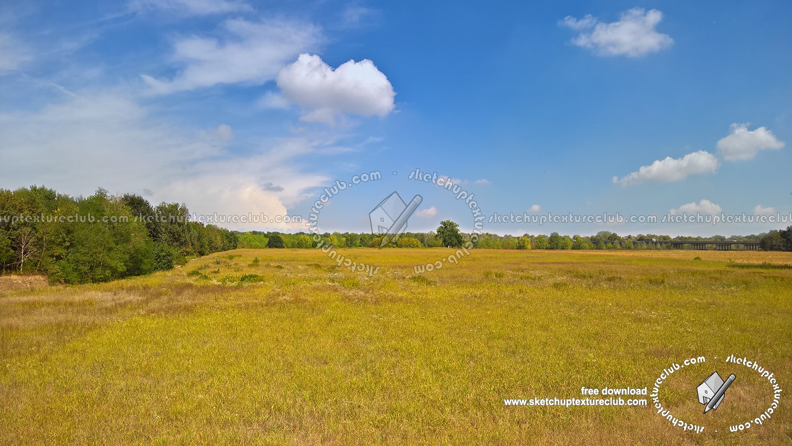 Textures   -   BACKGROUNDS & LANDSCAPES   -   NATURE   -   Countrysides & Hills  - Wild meadow countrysides landscape texture 17961