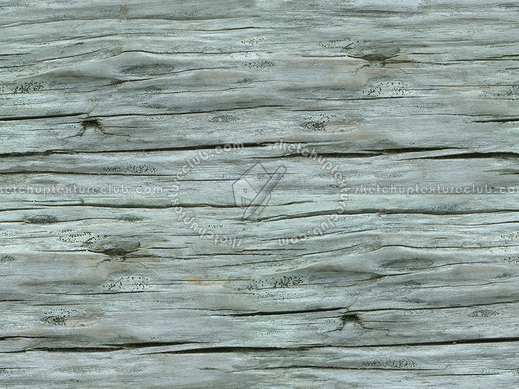 Textures   -   NATURE ELEMENTS   -   BARK  - Bark texture seamless 12348 (seamless)