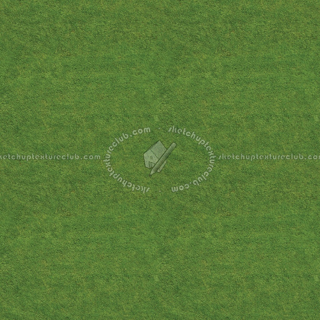 Textures   -   NATURE ELEMENTS   -   VEGETATION   -   Green grass  - Green grass texture seamless 13007 (seamless)