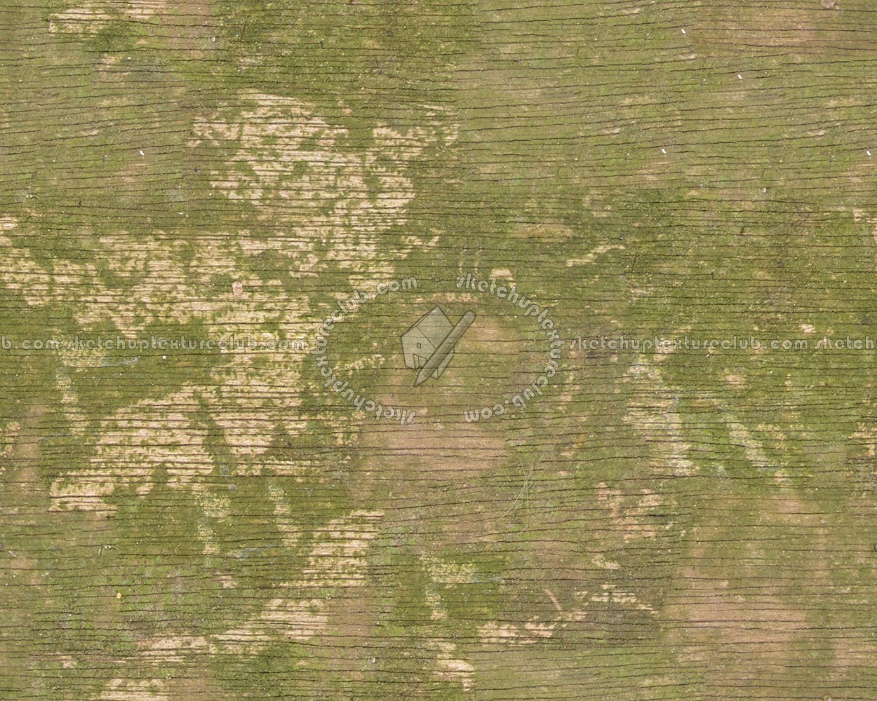 Textures   -   NATURE ELEMENTS   -   BARK  - Bark texture seamless 12351 (seamless)