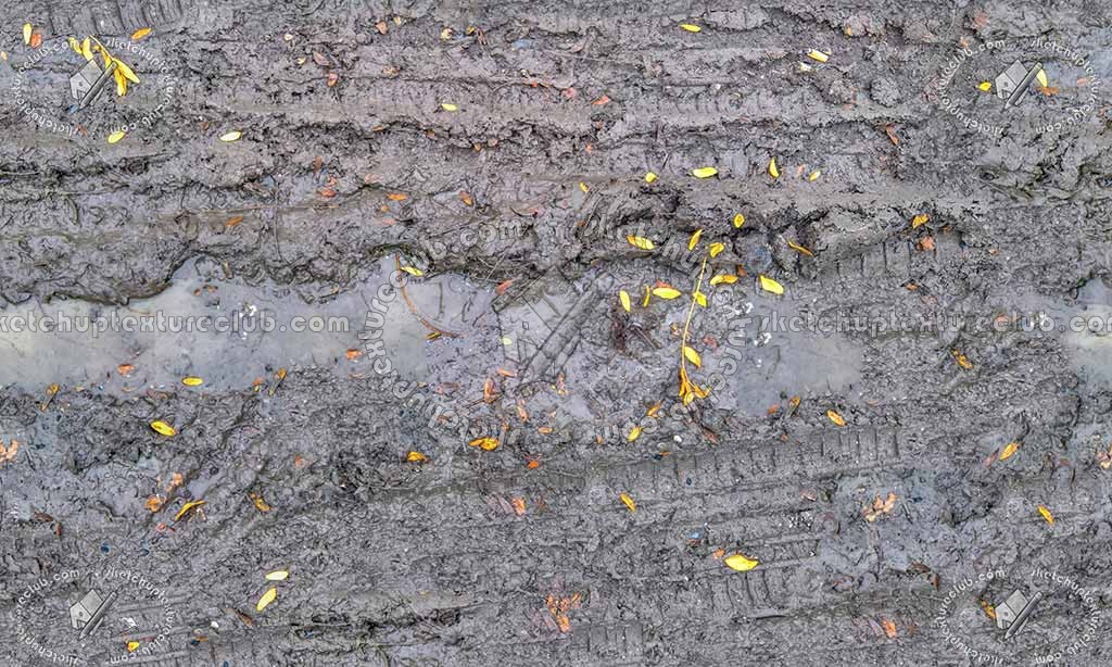 Textures   -   NATURE ELEMENTS   -   SOIL   -   Mud  - Mud with leaves texture seamless 21308 (seamless)