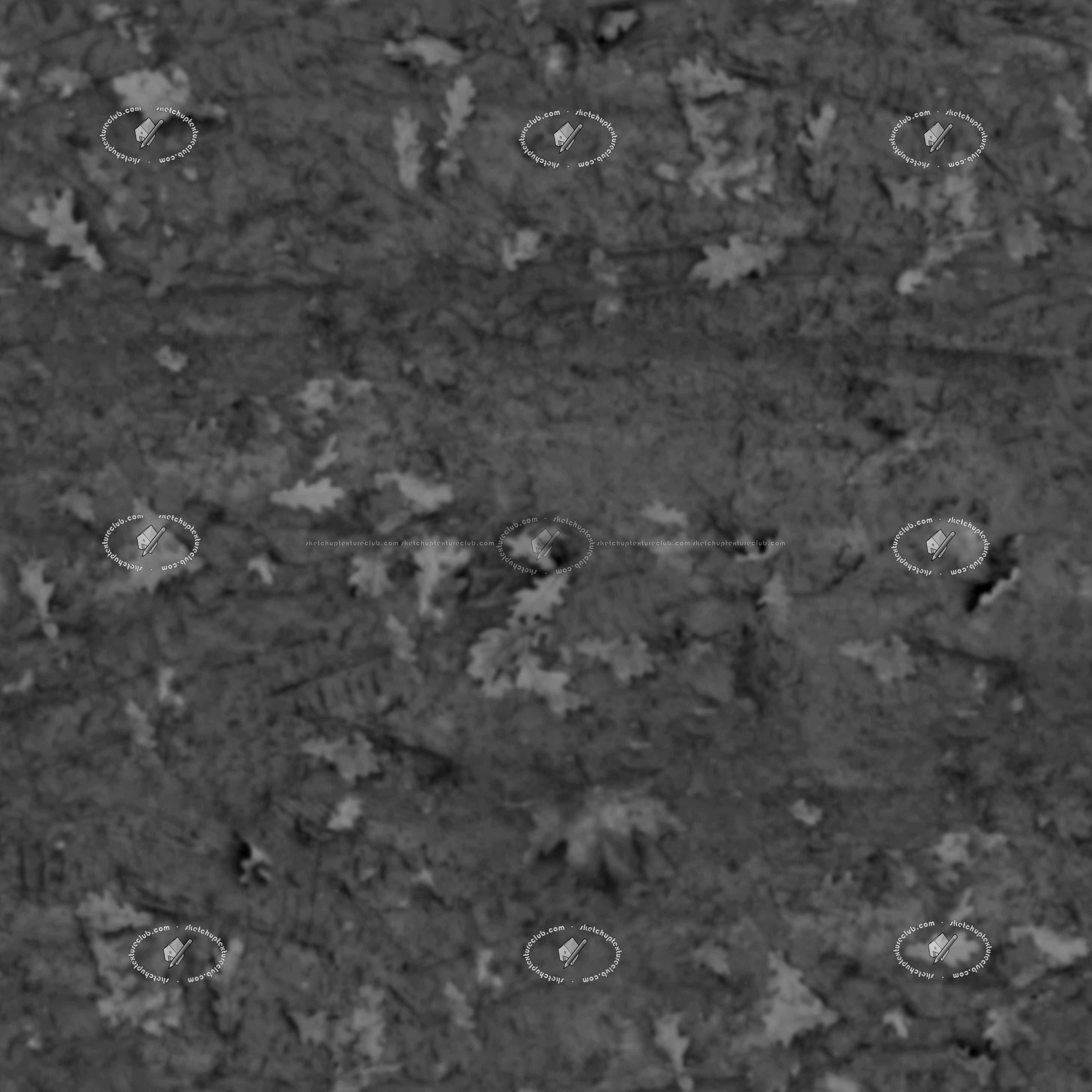 Textures   -   NATURE ELEMENTS   -   SOIL   -   Mud  - Mud with leaves texture seamless 21310 - Displacement