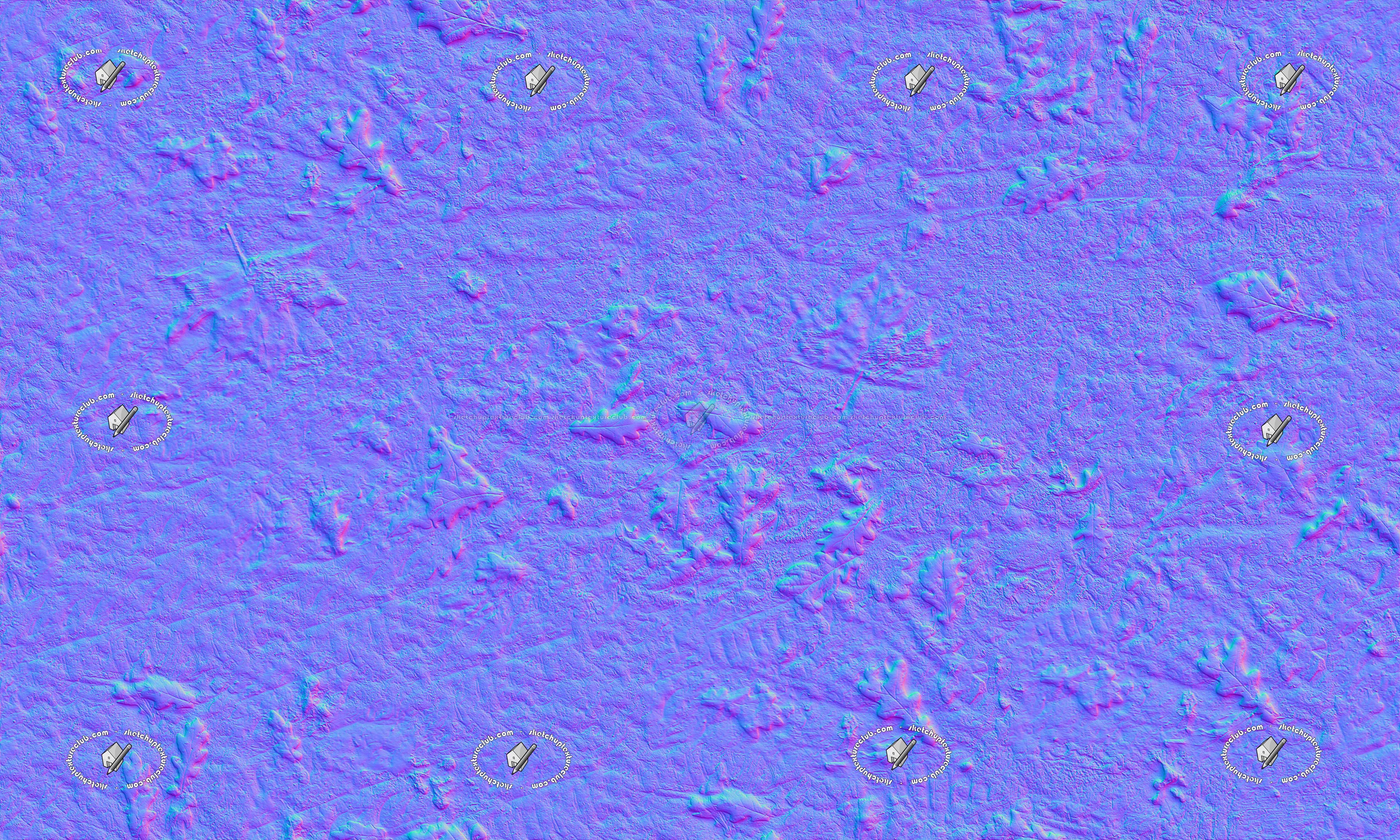 Textures   -   NATURE ELEMENTS   -   SOIL   -   Mud  - Mud with leaves texture seamless 21311 - Normal