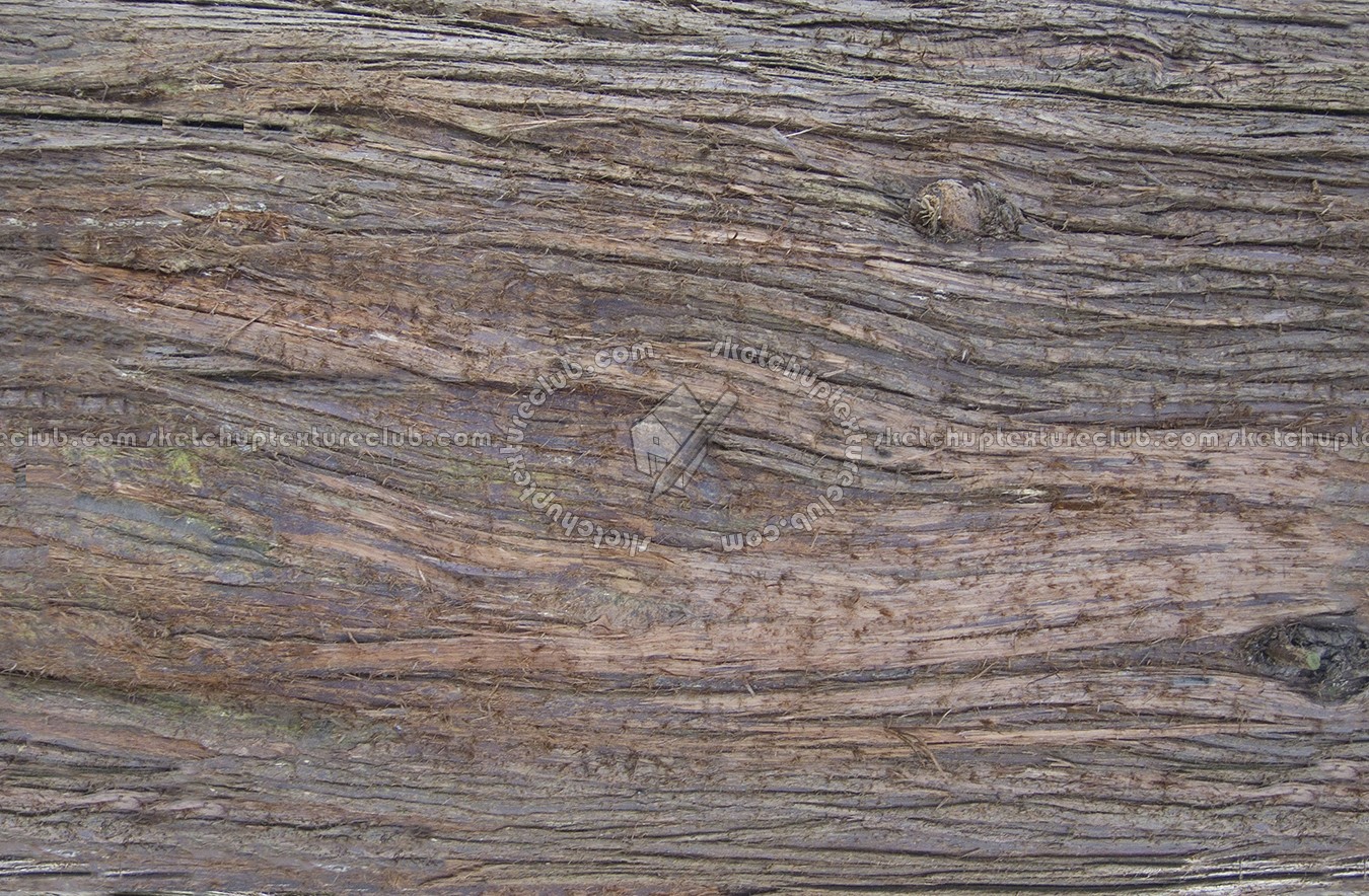 Textures   -   NATURE ELEMENTS   -   BARK  - Bark texture seamless 12355 (seamless)