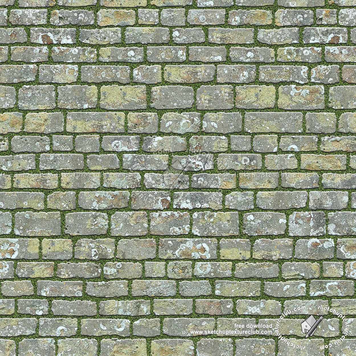 Textures   -   ARCHITECTURE   -   PAVING OUTDOOR   -   Parks Paving  - Park damaged paving stone texture seamless 18803 (seamless)