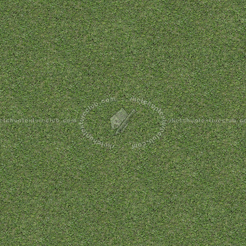 Textures   -   NATURE ELEMENTS   -   VEGETATION   -   Green grass  - Green grass texture seamless 13017 (seamless)