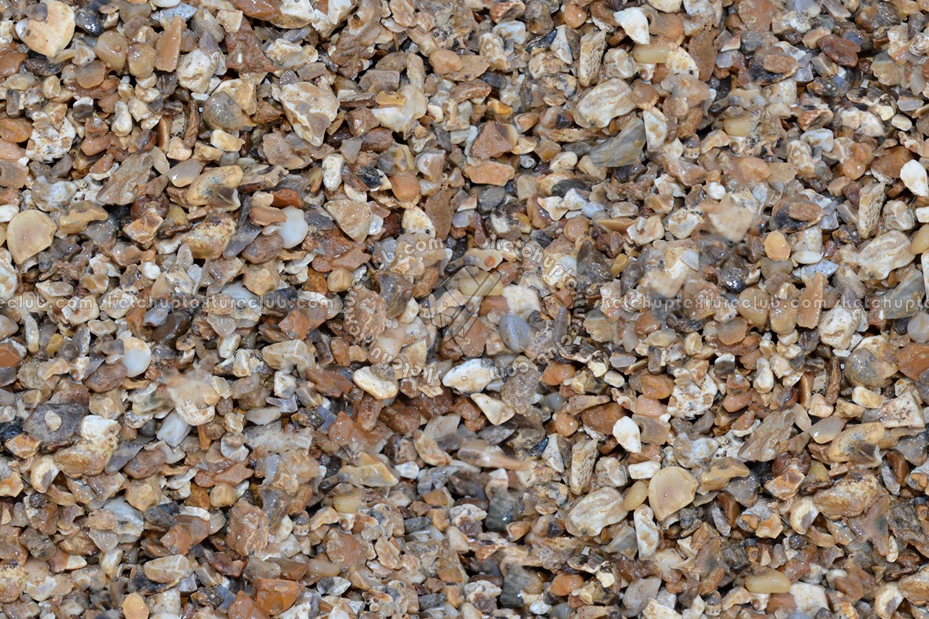 Textures   -   NATURE ELEMENTS   -   GRAVEL &amp; PEBBLES  - Gravel texture seamless 12422 (seamless)