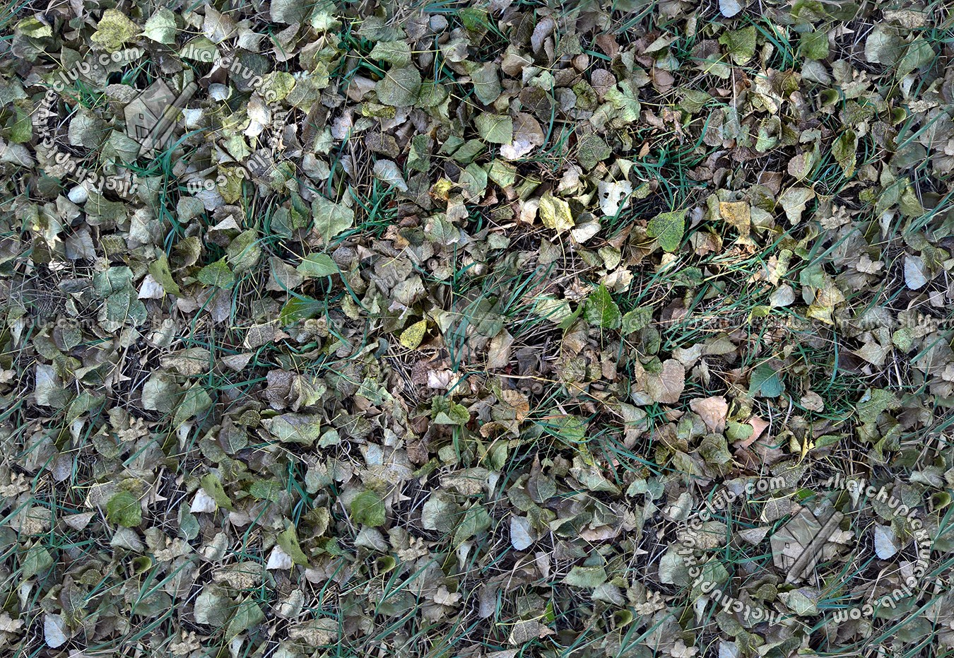 Textures   -   NATURE ELEMENTS   -   VEGETATION   -   Leaves dead  - Leaves dead texture seamless 17473 (seamless)