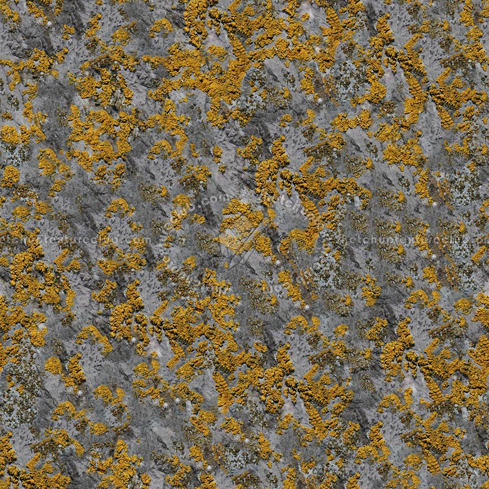 Textures   -   NATURE ELEMENTS   -   ROCKS  - Rock stone texture seamless 12674 (seamless)