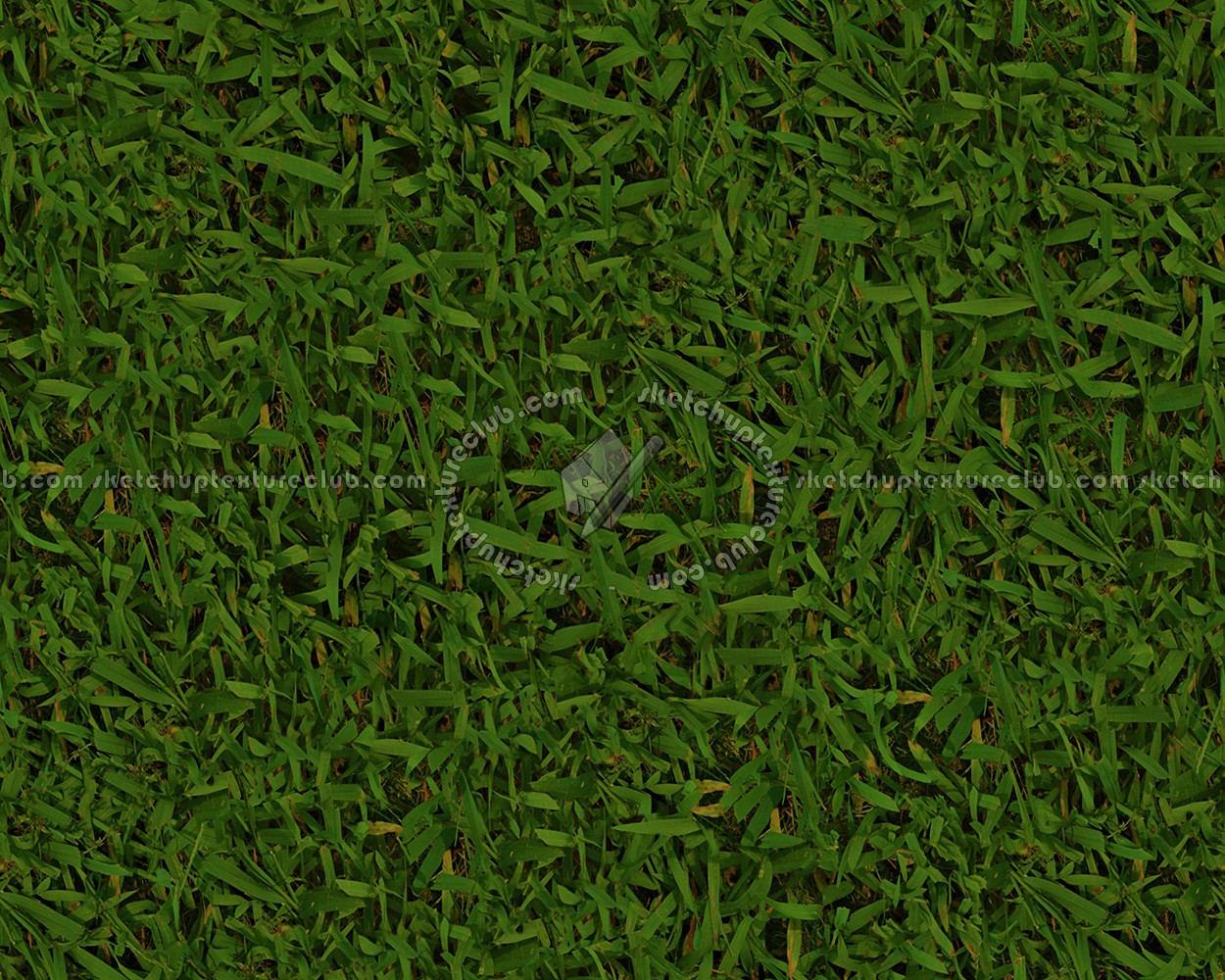 Textures   -   NATURE ELEMENTS   -   VEGETATION   -   Green grass  - Green grass texture seamless 13022 (seamless)