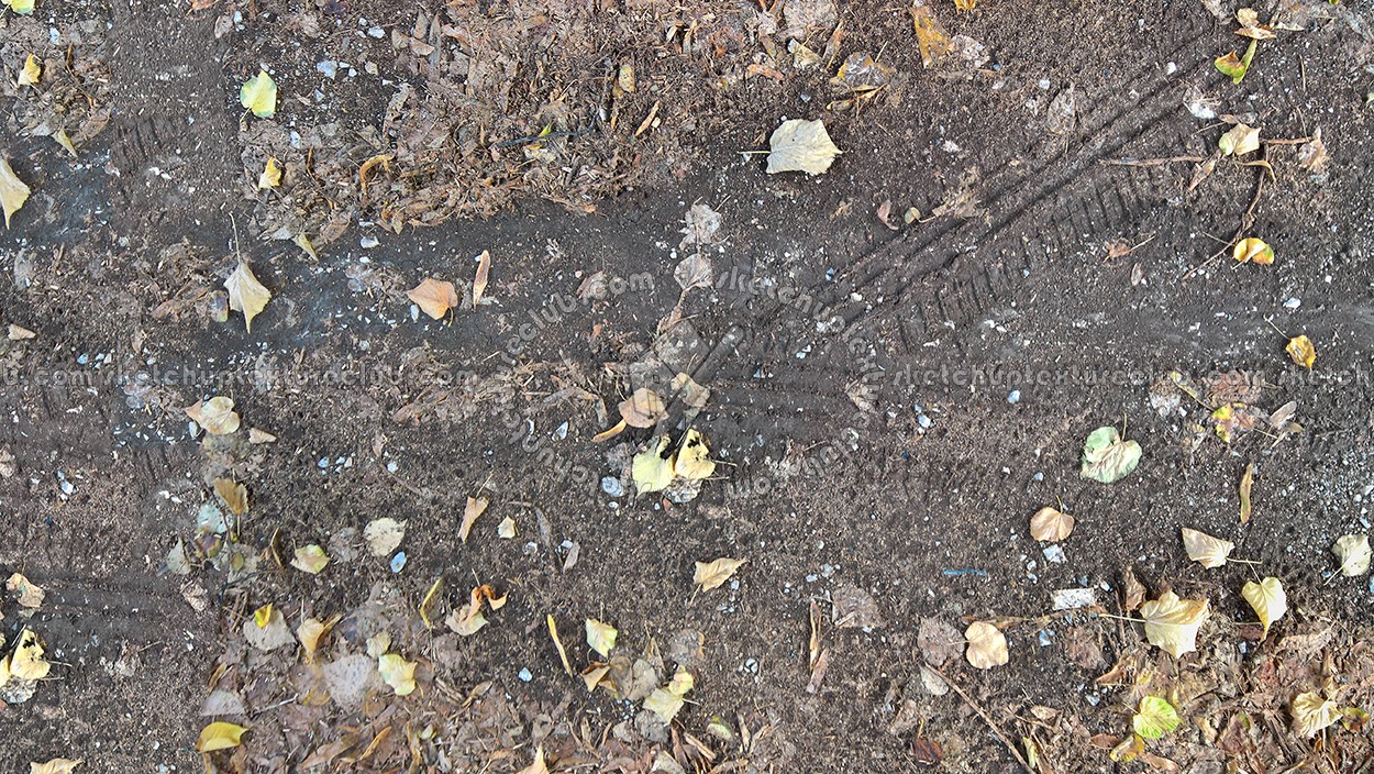 Textures   -   NATURE ELEMENTS   -   VEGETATION   -   Leaves dead  - Leaves dead with the wheels footprint texture seamless 17812 (seamless)