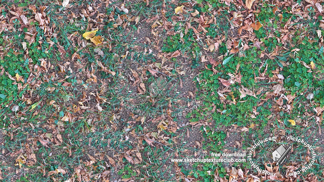 Textures   -   NATURE ELEMENTS   -   VEGETATION   -   Leaves dead  - Leaves dead texture seamless 18643 (seamless)