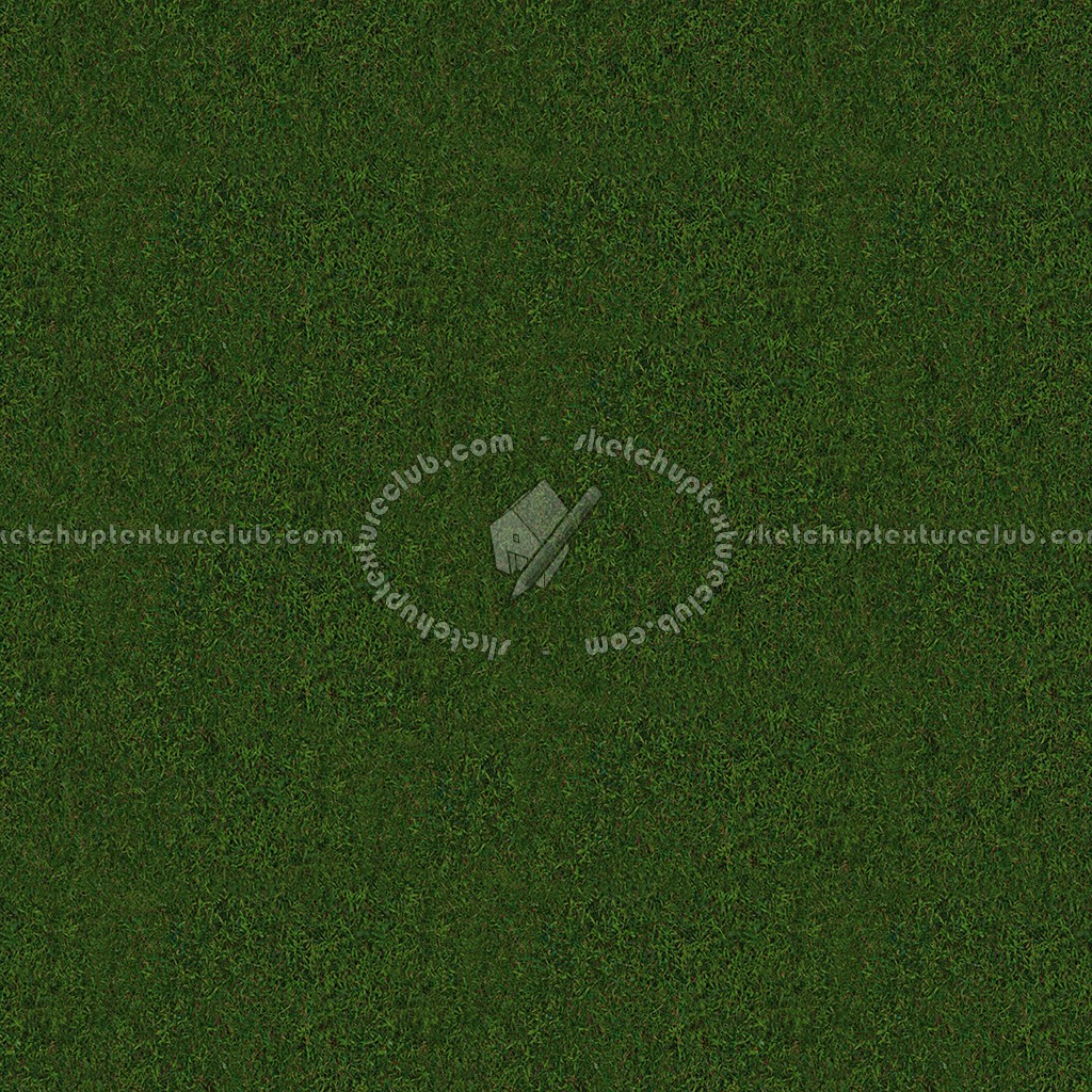 Textures   -   NATURE ELEMENTS   -   VEGETATION   -   Green grass  - Green grass texture seamless 13024 (seamless)