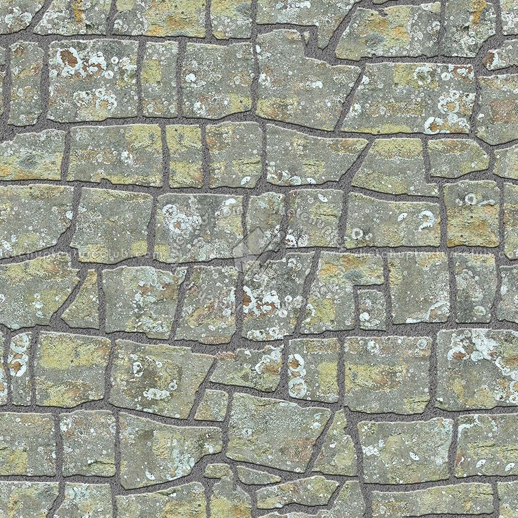 Textures   -   ARCHITECTURE   -   PAVING OUTDOOR   -   Flagstone  - Paving flagstone texture seamless 05923 (seamless)