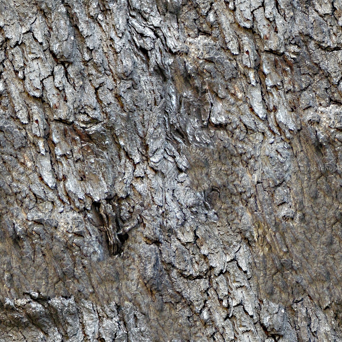 Textures   -   NATURE ELEMENTS   -   BARK  - Bark texture seamless 12366 (seamless)