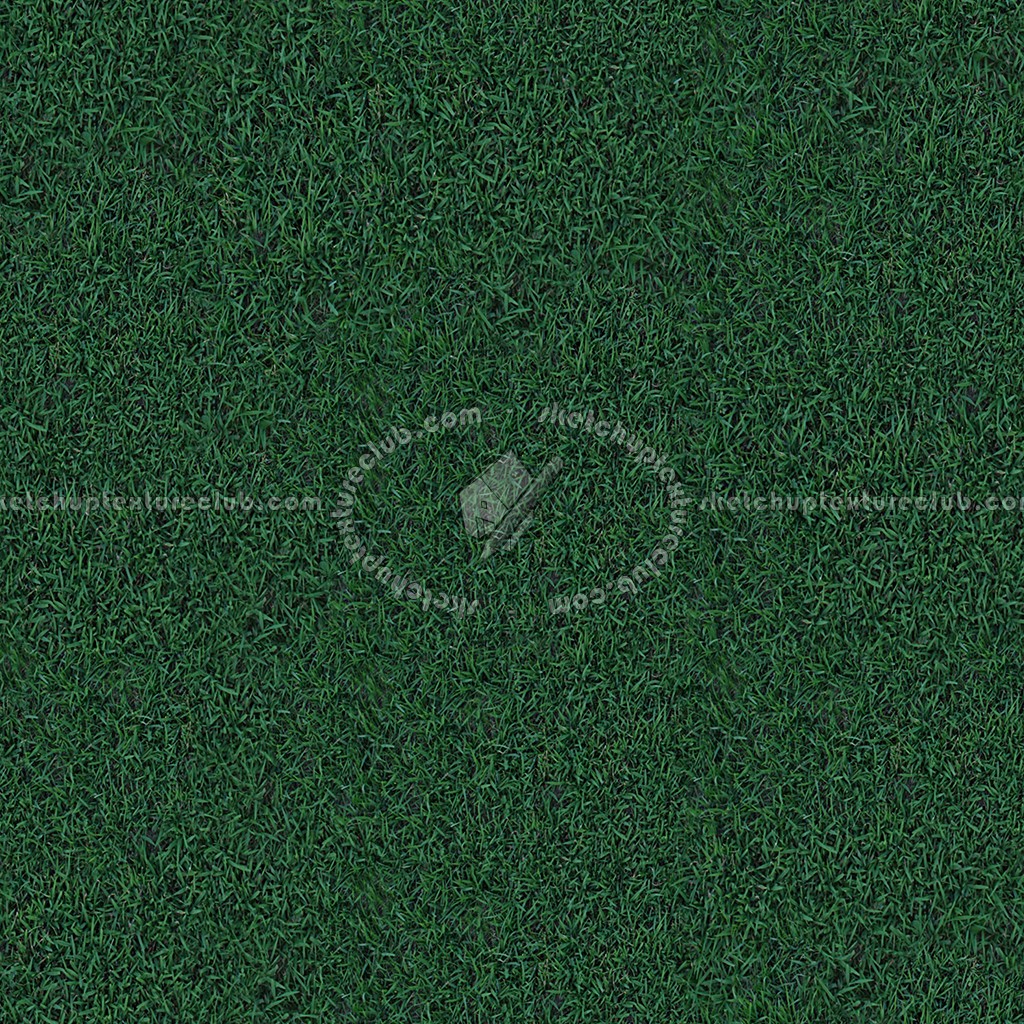 Textures   -   NATURE ELEMENTS   -   VEGETATION   -   Green grass  - Green grass texture seamless 13028 (seamless)