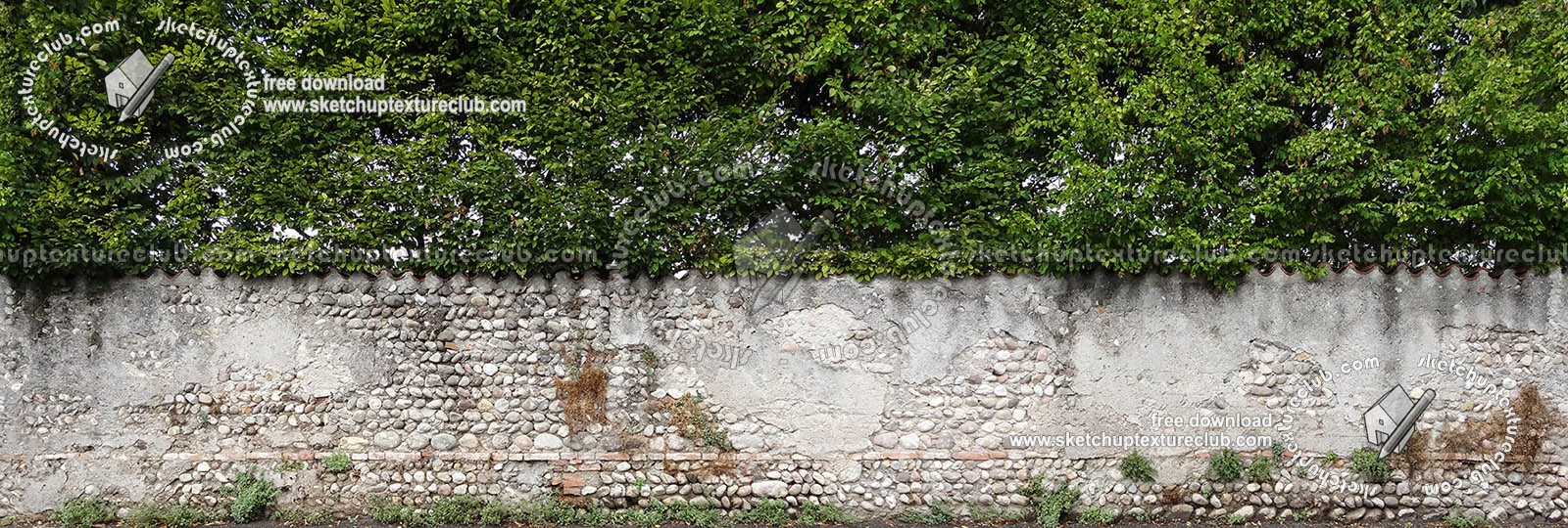 Textures   -   ARCHITECTURE   -   STONES WALLS   -   Damaged walls  - Old damaged wall with hedge texture seamless 18410 (seamless)