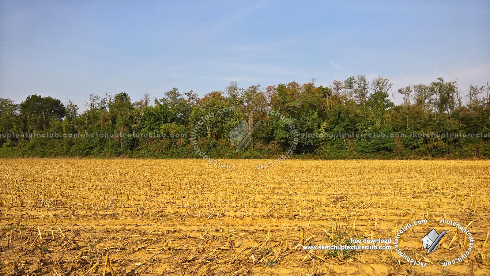 Textures   -   BACKGROUNDS & LANDSCAPES   -   NATURE   -   Countrysides & Hills  - Plowed land countrysides landscape texture 17986