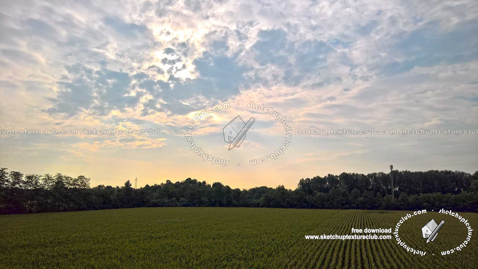 Textures   -   BACKGROUNDS & LANDSCAPES   -   SUNRISES & SUNSETS  - Summer sunrise with rural background 20812