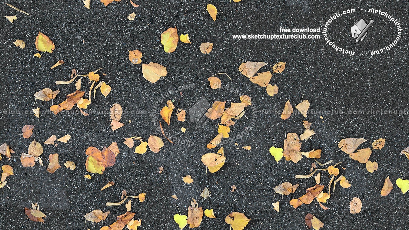 Textures   -   NATURE ELEMENTS   -   VEGETATION   -   Leaves dead  - Asphalt with dead leaves texture seamless 18652 (seamless)