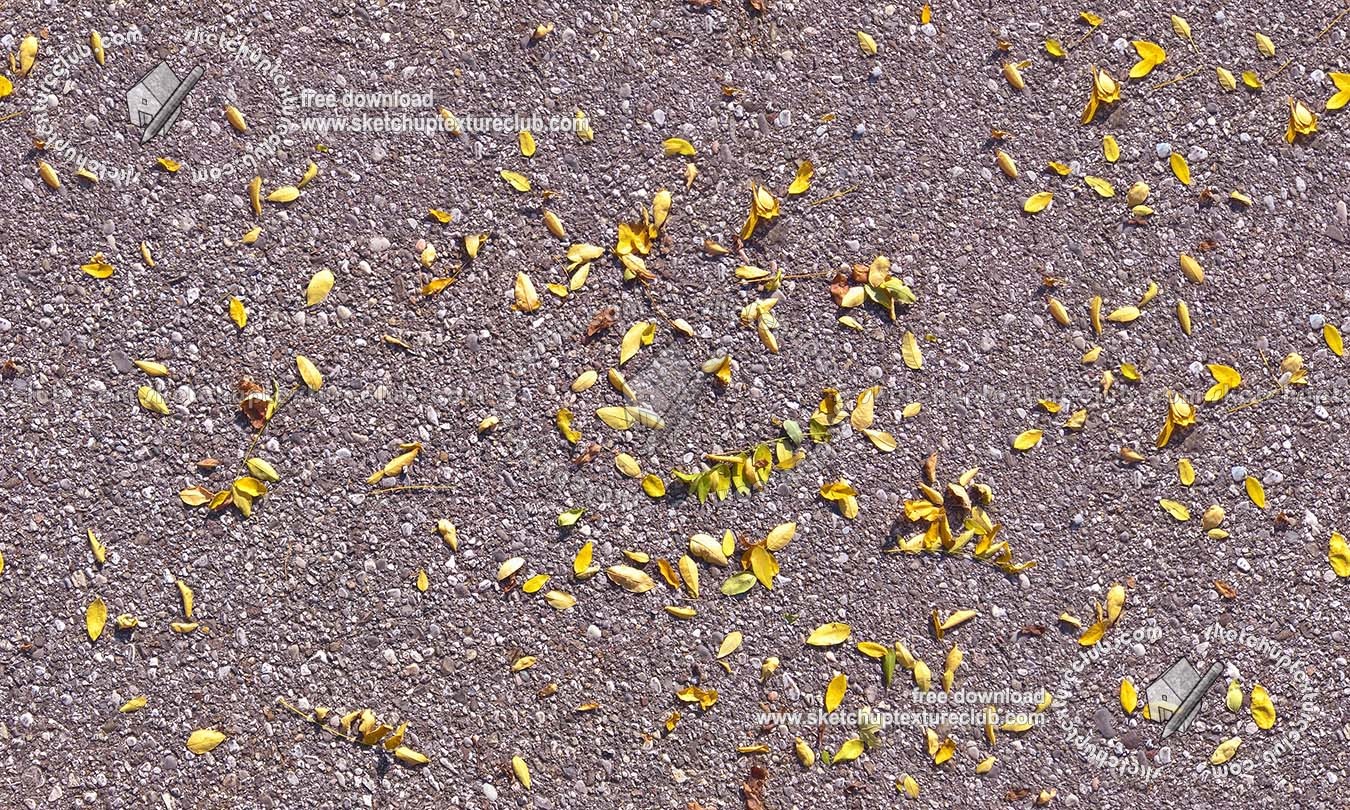 Textures   -   NATURE ELEMENTS   -   VEGETATION   -   Leaves dead  - Asphalt with dead leaves texture seamless 19237 (seamless)