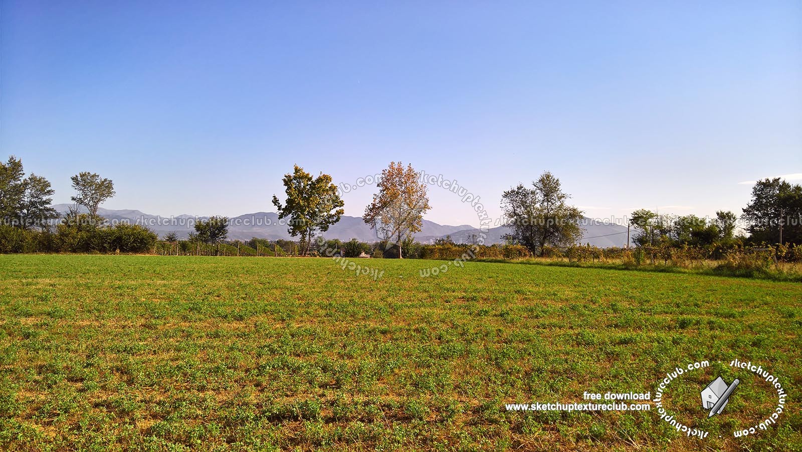 Textures   -   BACKGROUNDS & LANDSCAPES   -   NATURE   -   Countrysides & Hills  - Countrysides green landscape texture 17993