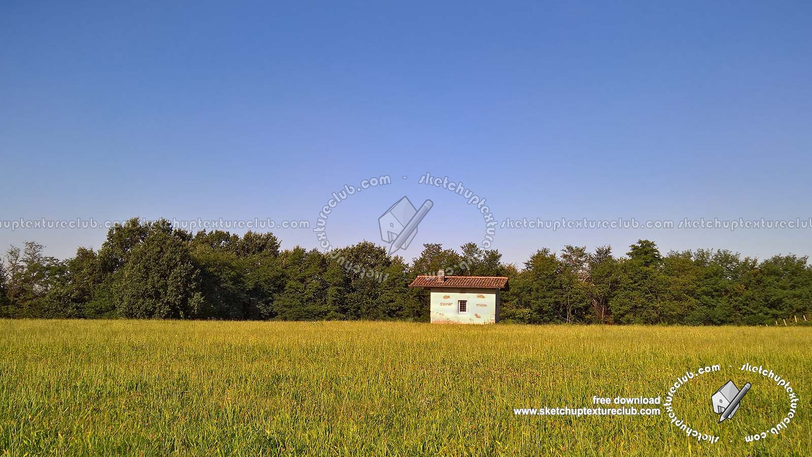 Textures   -   BACKGROUNDS &amp; LANDSCAPES   -   NATURE   -   Countrysides &amp; Hills  - Countrysides landscape texture 17994