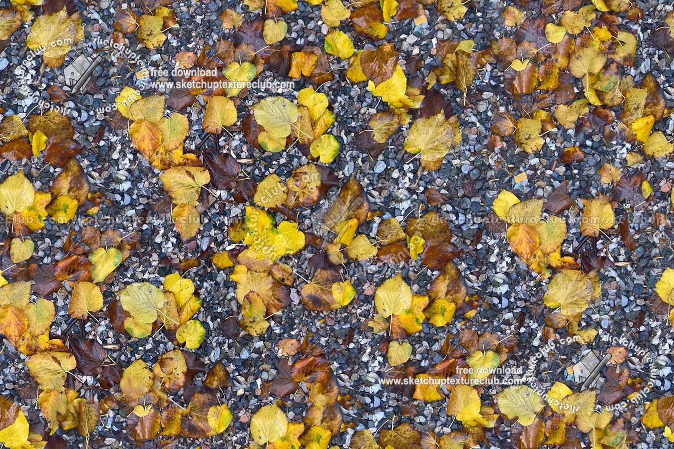 Textures   -   NATURE ELEMENTS   -   VEGETATION   -   Leaves dead  - Wet gravel with dead leaves texture seamless 19239 (seamless)