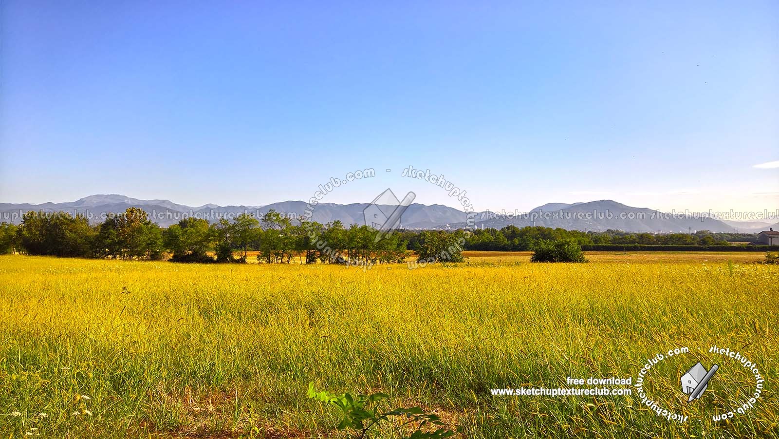 Textures   -   BACKGROUNDS & LANDSCAPES   -   NATURE   -   Countrysides & Hills  - Yellow countrysides landscape texture 17995