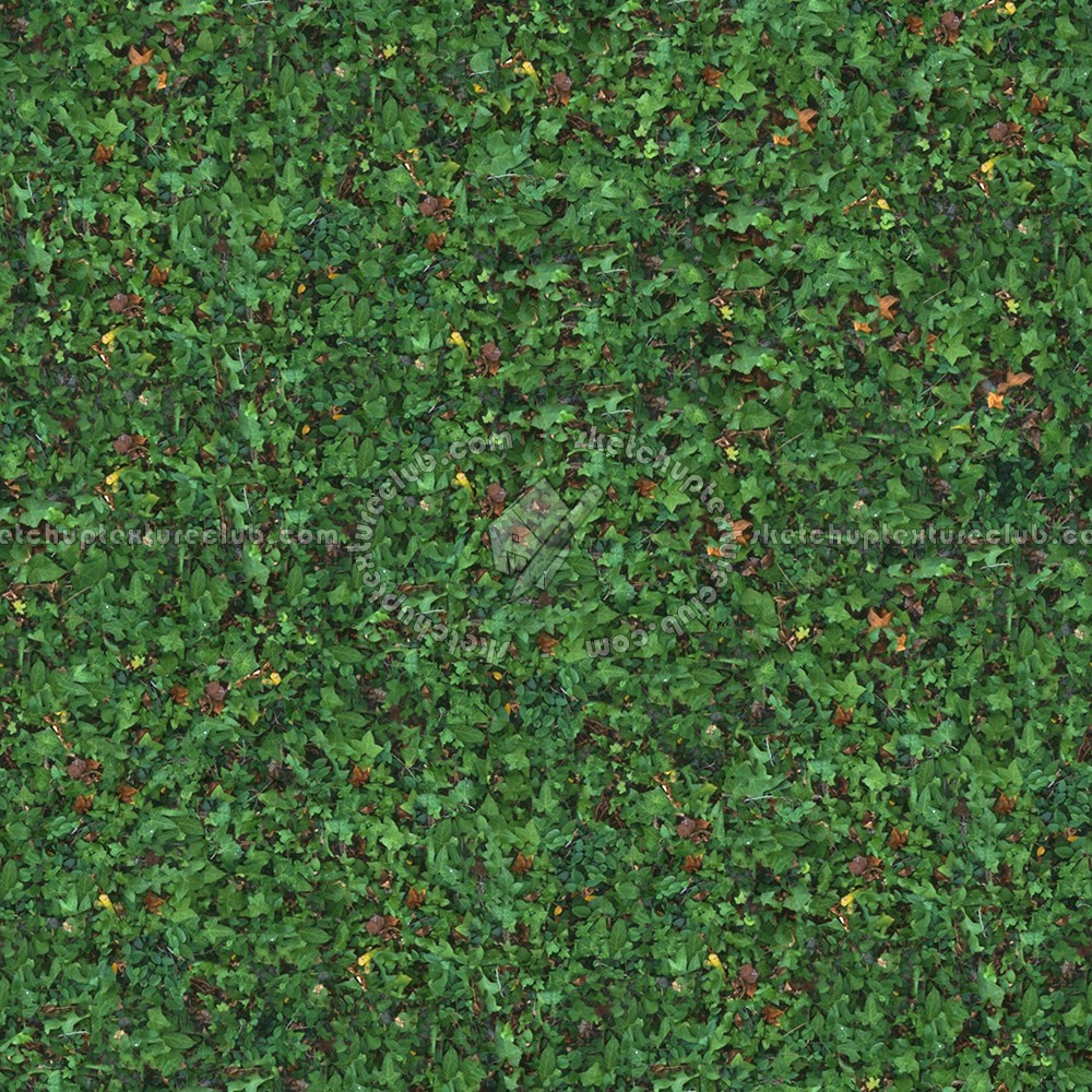 Textures   -   NATURE ELEMENTS   -   VEGETATION   -   Green grass  - Green grass texture seamless 13043 (seamless)