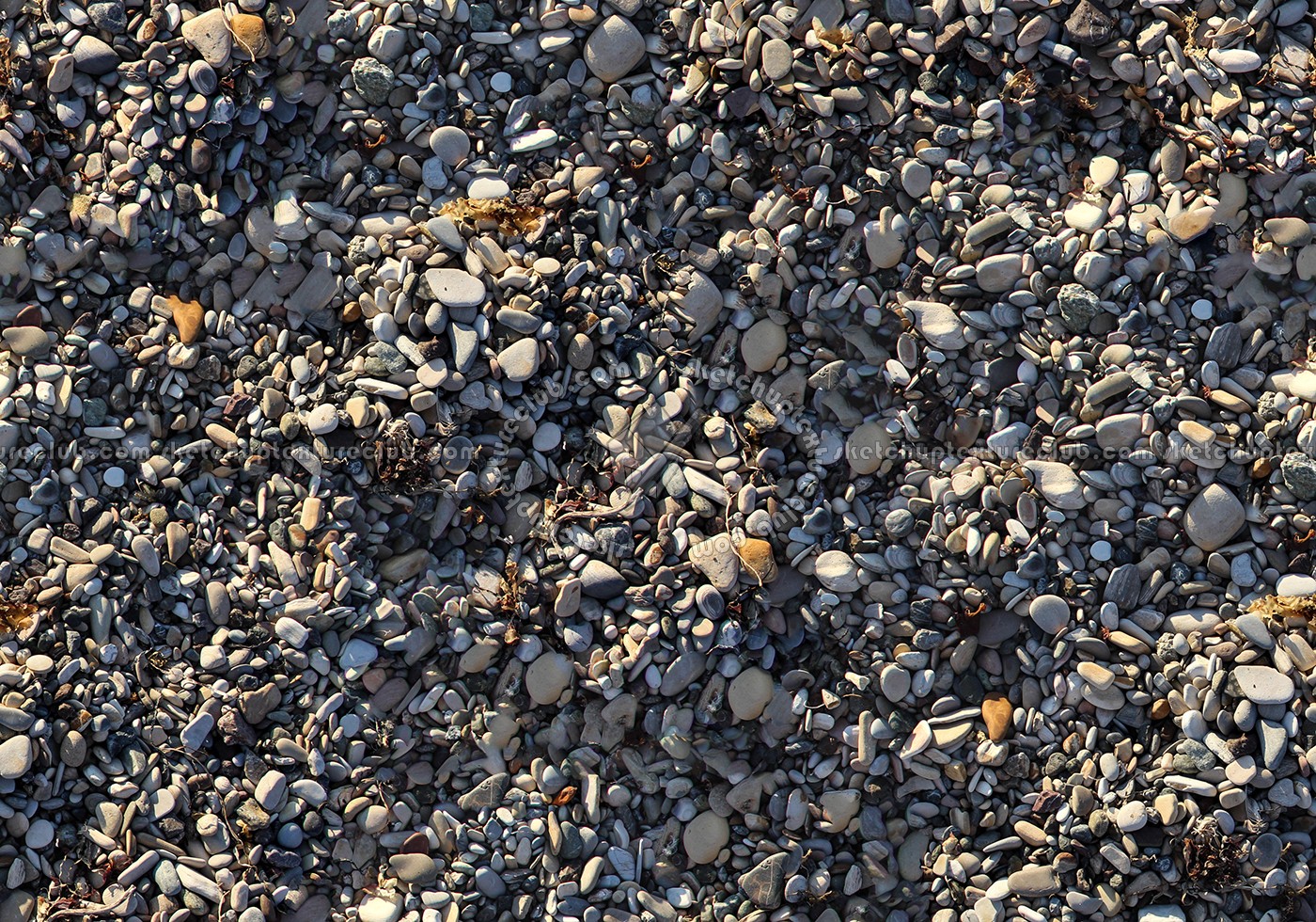 Textures   -   NATURE ELEMENTS   -   GRAVEL & PEBBLES  - Beach pebbles stone texture seamless 12448 (seamless)