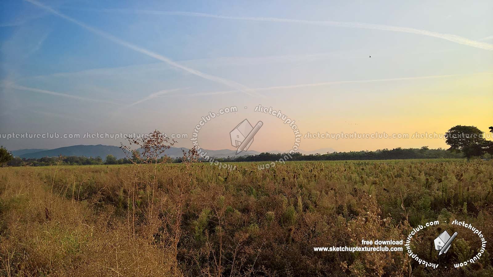 Textures   -   BACKGROUNDS &amp; LANDSCAPES   -   NATURE   -   Countrysides &amp; Hills  - Countrysides landscape 18004