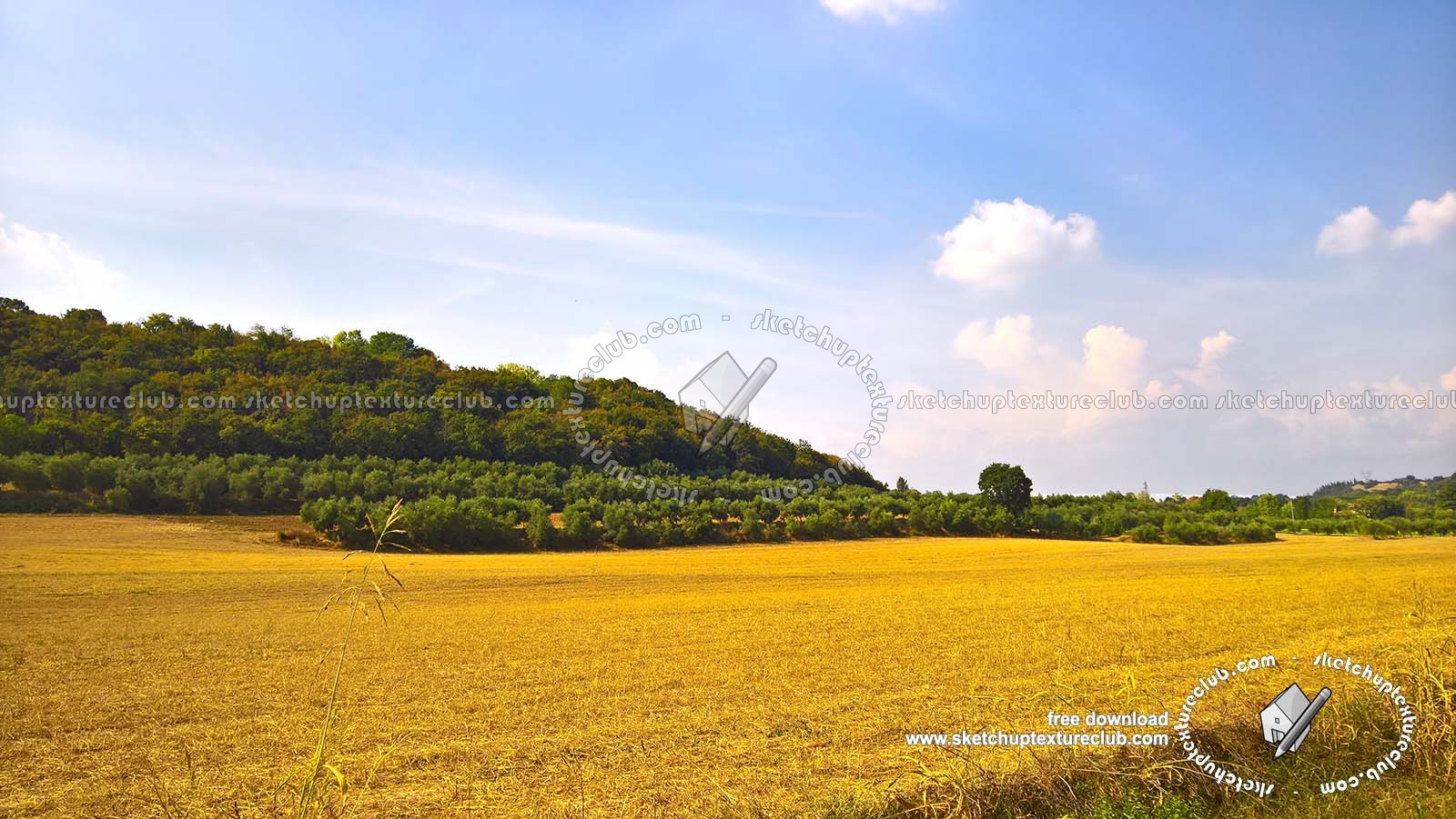 Textures   -   BACKGROUNDS & LANDSCAPES   -   NATURE   -   Countrysides & Hills  - Yellow countrysides landscape texture 18005