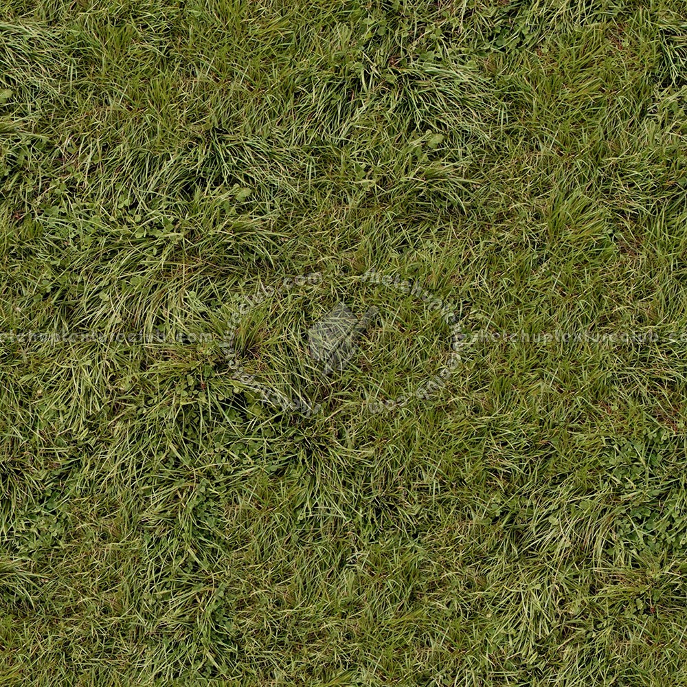 Textures   -   NATURE ELEMENTS   -   VEGETATION   -   Green grass  - Green grass texture seamless 13049 (seamless)