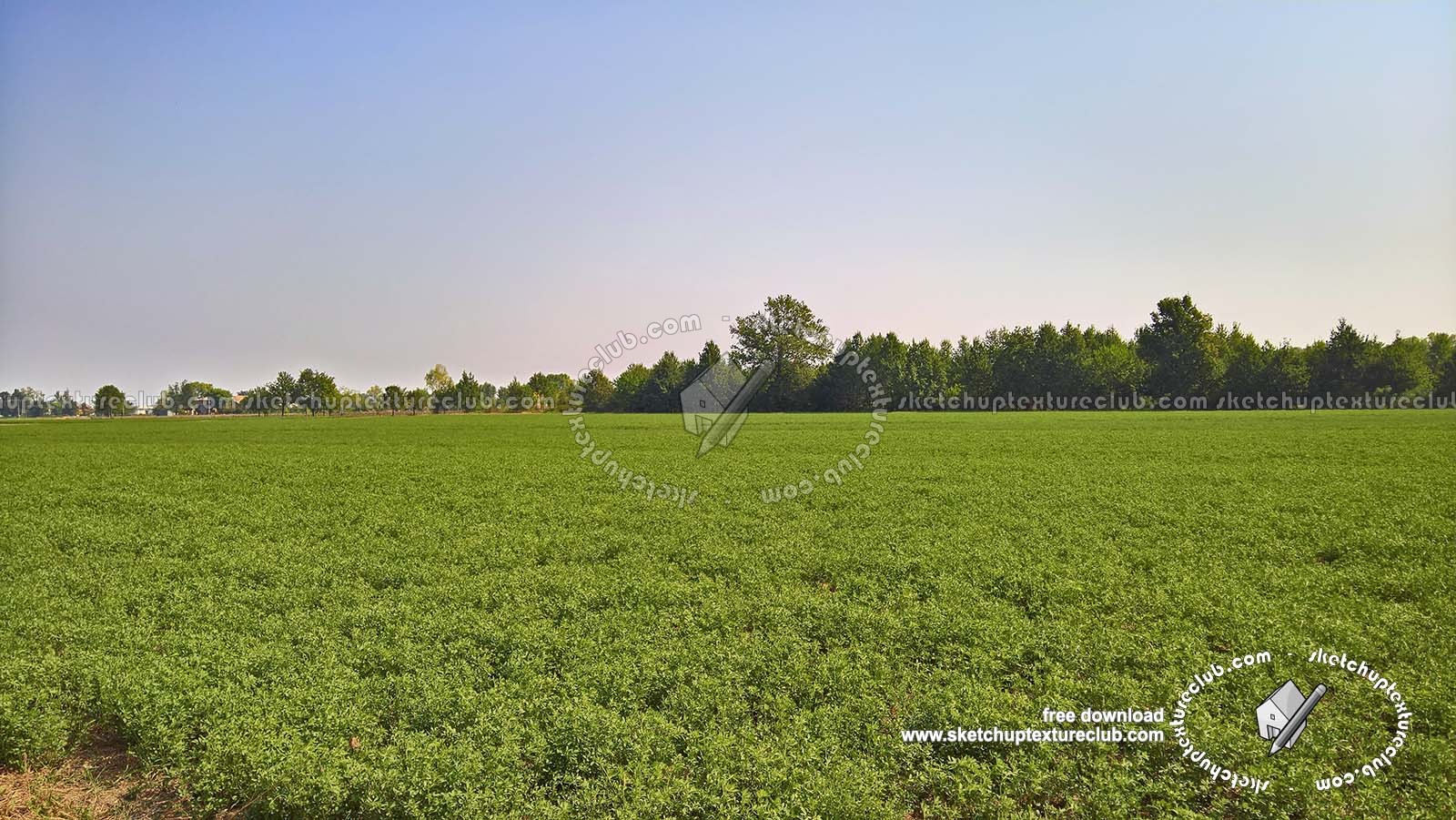 Textures   -   BACKGROUNDS & LANDSCAPES   -   NATURE   -   Countrysides & Hills  - Countrysides green landscape texture 18023