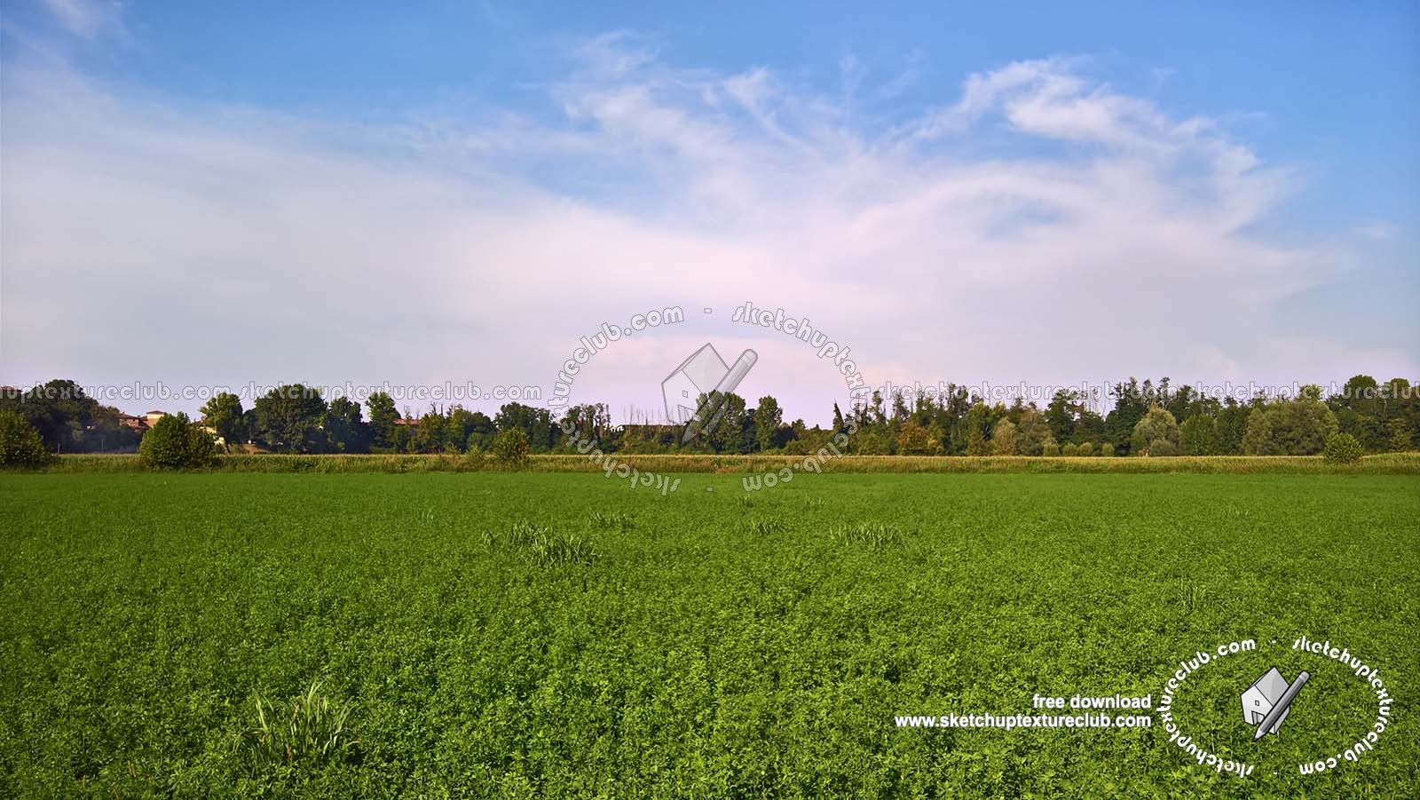 Textures   -   BACKGROUNDS & LANDSCAPES   -   NATURE   -   Countrysides & Hills  - Countryside green landscape texture 18032