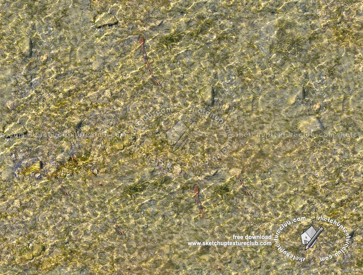 Textures   -   NATURE ELEMENTS   -   GRAVEL & PEBBLES  - Pebbles under water texture seamless 18208 (seamless)