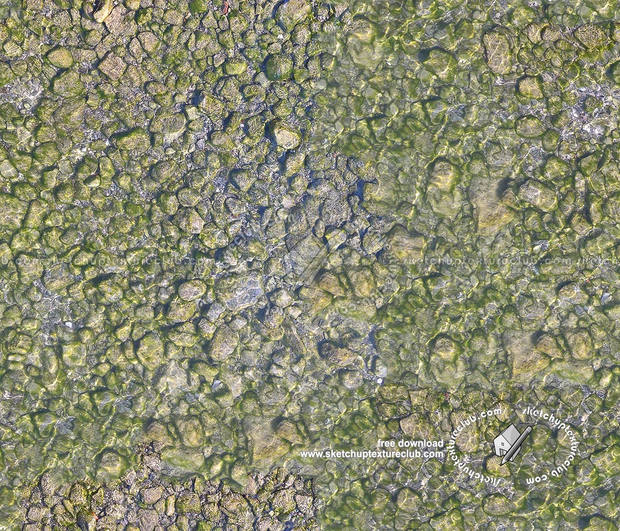 Textures   -   NATURE ELEMENTS   -   GRAVEL & PEBBLES  - Pebbles under water texture seamless 18212 (seamless)