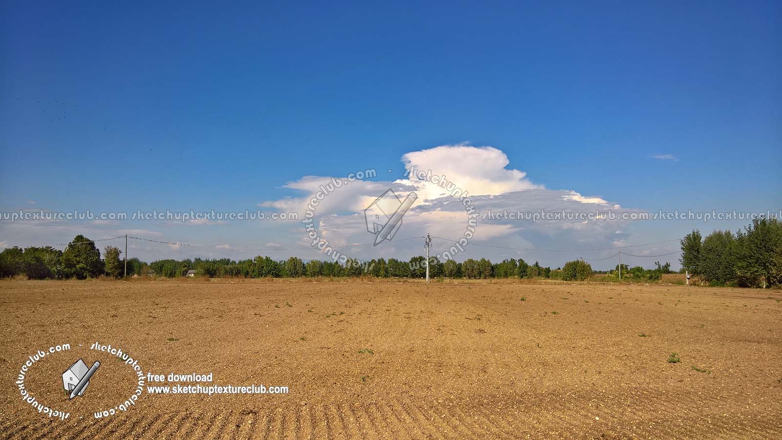 Textures   -   BACKGROUNDS &amp; LANDSCAPES   -   NATURE   -   Countrysides &amp; Hills  - Countrysides landscape texture 18039