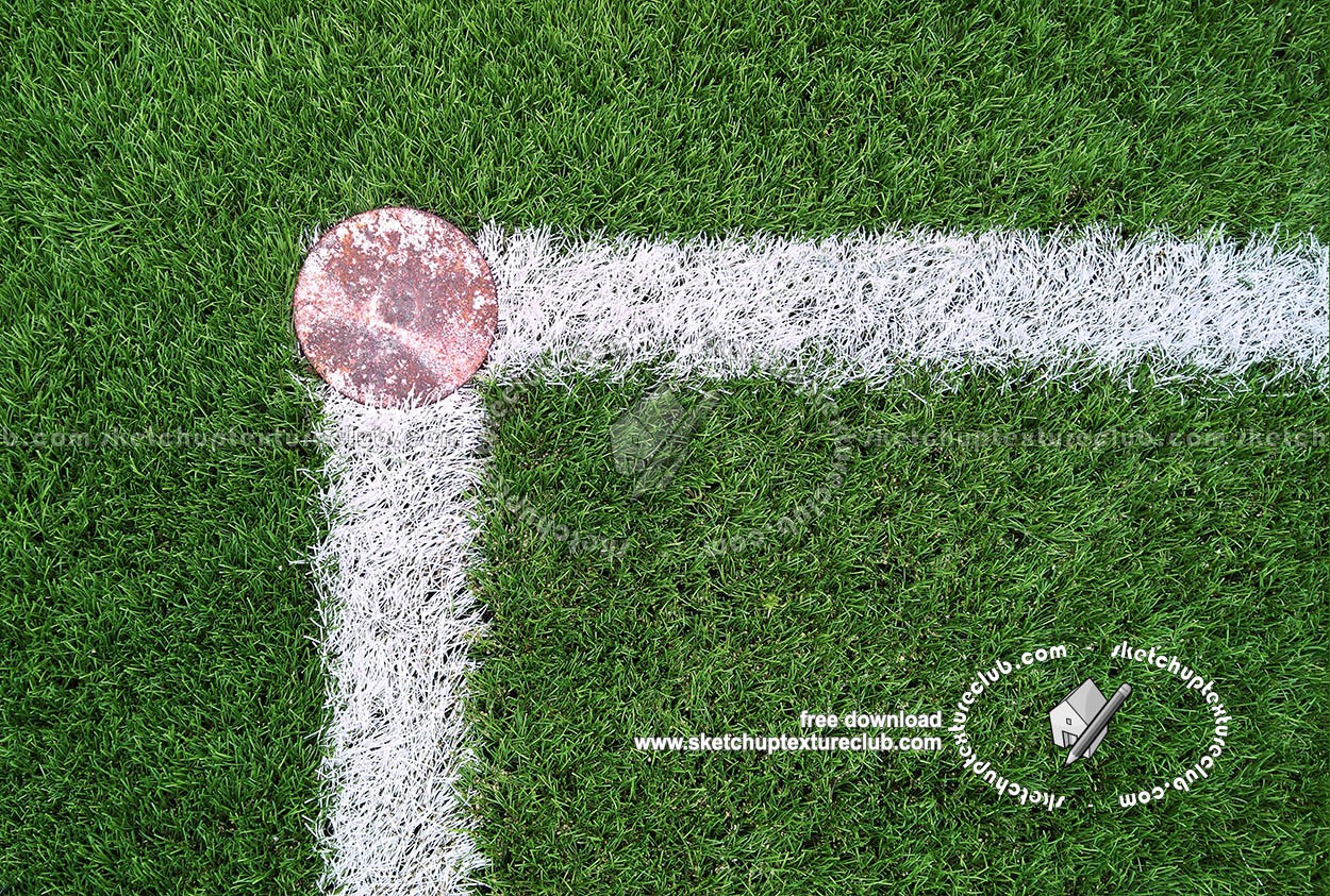 Textures   -   NATURE ELEMENTS   -   VEGETATION   -   Green grass  - Angle rugby field texture 18713