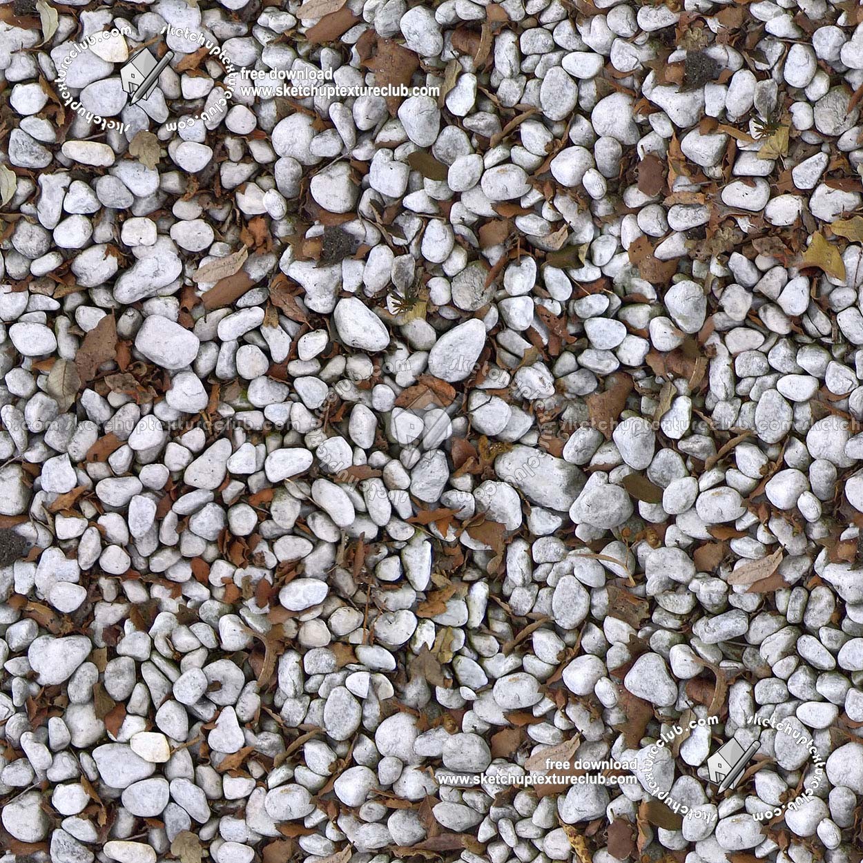 Textures   -   NATURE ELEMENTS   -   GRAVEL & PEBBLES  - White pebbles stone with dead leaves texture seamless 19753 (seamless)